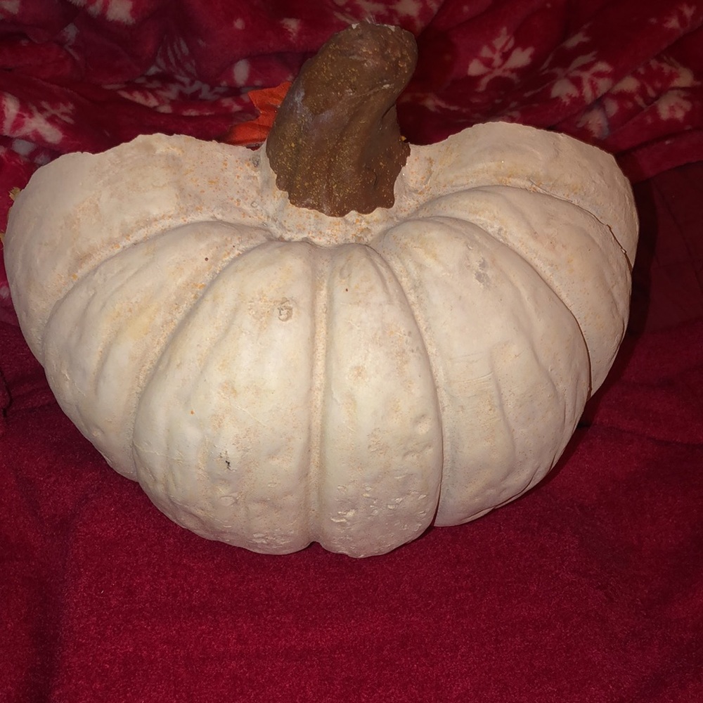 Homemade - Picture 4 of 4
